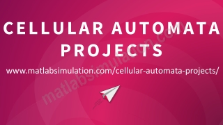Cellular Automata Projects Research Ideas