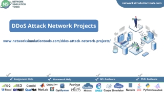 DDoS Attack Network Projects Research Help
