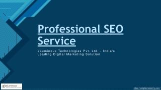 professional seo service