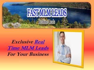 Real Time MLM Leads