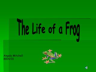 The Life of a Frog