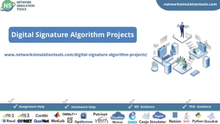 Digital Signature Algorithm Projects Research Assistance