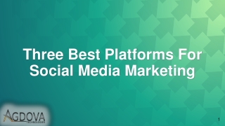 Three Best Platforms For Social Media Marketing