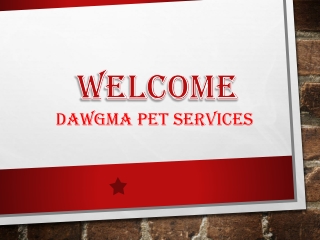 Dawgma Pet Services