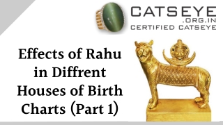 Effects of Rahu in Diffrent Houses of Birth Charts (Part 1)