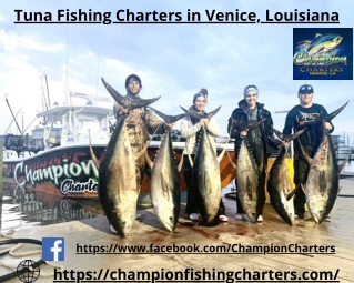 Fishing Charters in Venice Louisiana