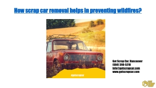 How scrap car removal helps in preventing wildfires? - Got Scrap Car Blog