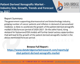 Patient Derived Xenografts Market