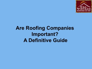 Are Roofing Companies Important A Definitive Guide