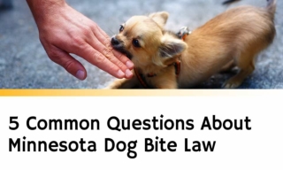 5 Common Questions About Minnesota Dog Bite Law