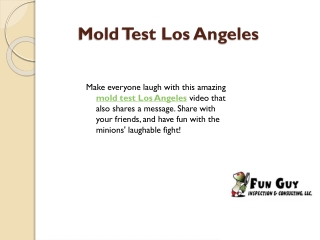 Mold Test Los Angeles