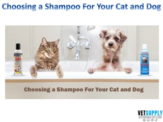 Best Shampoo for Dogs and Cats | Pet Grooming Products | VetSupply