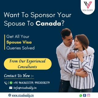 Immigration Consultants Near Me