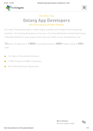 Dedicated Golang App Developers | Golang App Programmers in India