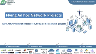 Flying Ad hoc Network Projects For Engineering Students