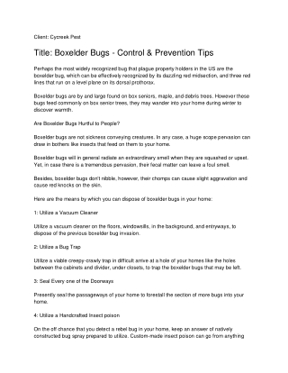 Houston Termite Control | Termite Inspection Houston