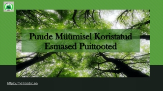 Puude müümisel koristatud esmased puittooted | Metsa ABC