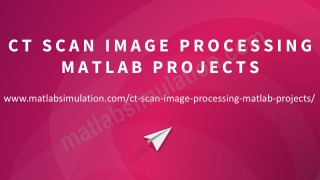 CT Scan Image Processing MATLAB Projects Tutorials