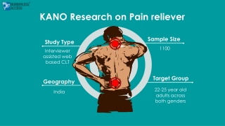 KANO Research on Pain reliever
