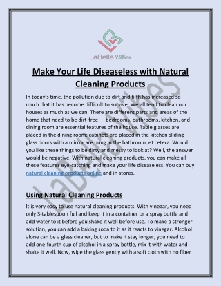 Make Your Life Diseaseless with Natural Cleaning Products | LaBella Vibes