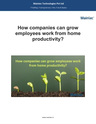 How companies can grow employees work from home productivity?