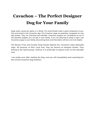 Cavachon – The Perfect Designer Dog for Your Family