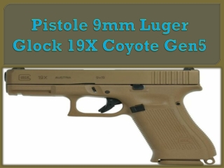 Pistole 9mm Luger Glock 19X Coyote Gen5