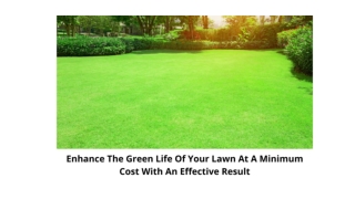 Enhance The Green Life Of Your Lawn At A Minimum Cost With An Effective Result