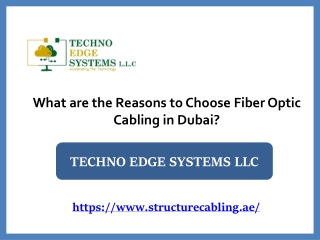 What are the Reasons to Choose Fiber Optic Cabling in Dubai?