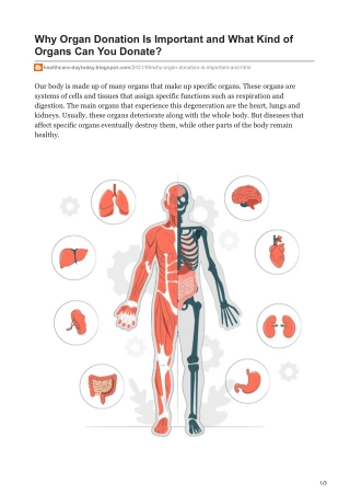Why Organ Donation Is Important and What Kind of Organs Can You Donate
