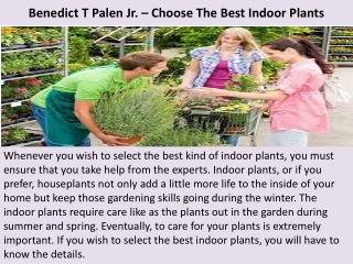 Benedict T Palen Jr. – Choose The Best Indoor Plants