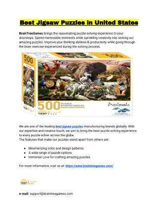 Best Jigsaw Puzzles in United States