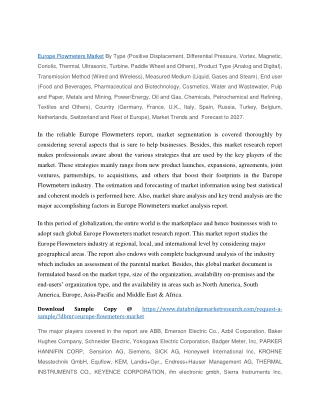 Europe Flowmeters Market