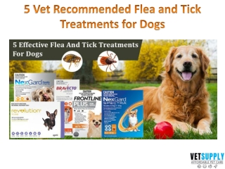 5 Vet Recommended Flea and Tick Treatment for Dogs | Dog Supplies | VetSupply