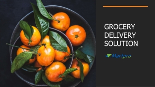 Grocery Delivery Solution