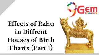 Effects of Rahu in diffrent Houses of birth charts (Part 1)