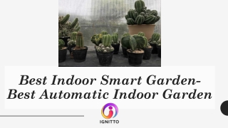 Best Indoor Smart Garden-Best Automatic Indoor Garden