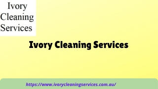 Professional Cleaners Adelaide
