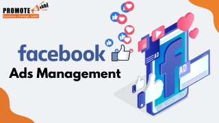 Facebook Ad Management