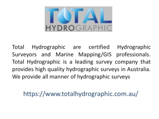 Hydrographic Surveyors