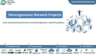 Heterogeneous Network Projects Research Help
