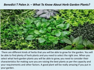 Benedict T Palen Jr. – What To Know About Herb Garden Plants?