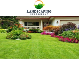 Landscaping Front Yard
