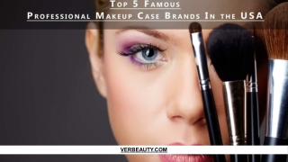 Top 5 Famous Professional Makeup Case Brands In the USA