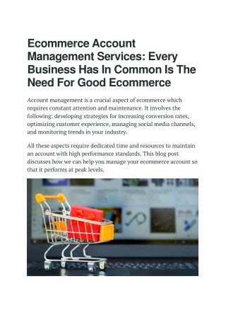 Ecommerce Account Management Services.  Every Business Has In Common Is The Need For Good Ecommerce