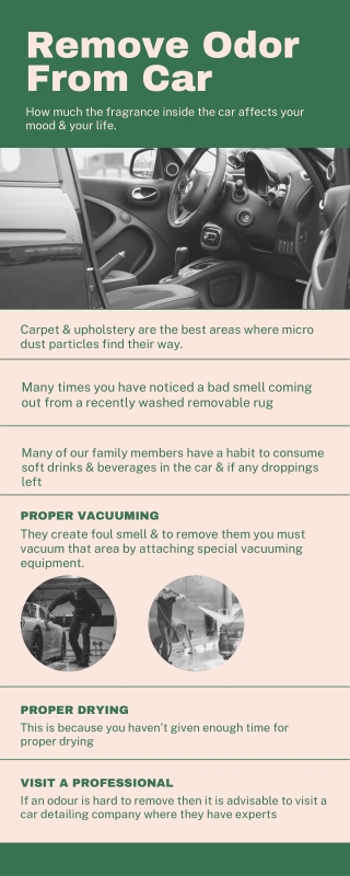 Remove Odor From Car