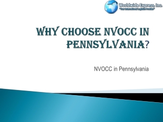 Best NVOCC in Pennsylvania for transportation