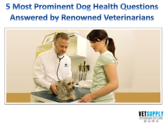 Frequently asked questions by Pet Parents | Pet Health Care | VetSupply