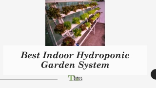 Best Indoor Hydroponic Garden System|TreesIndoor