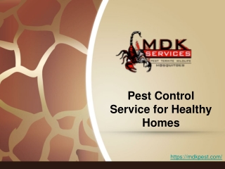 Pest Control Service for Healthy Homes